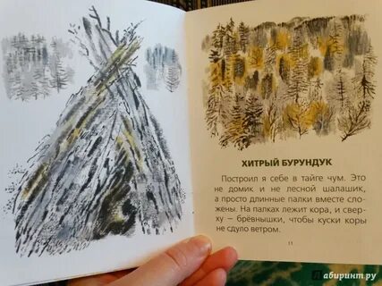 Построил я себе в тайге чум