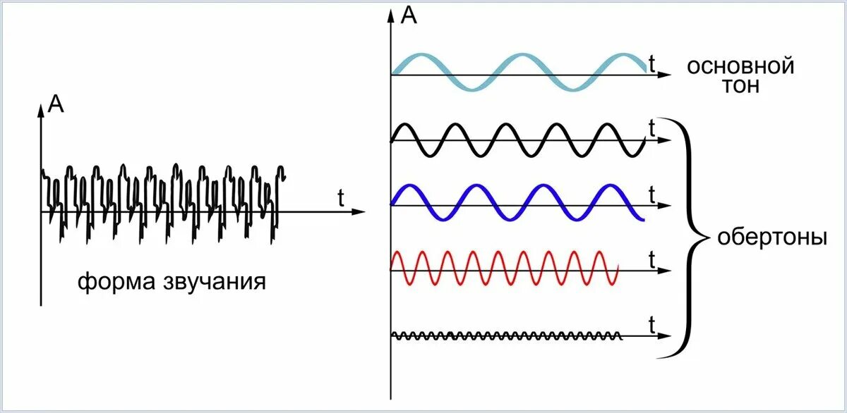 Основной тон и обертоны сложного звука. Чистый тон основной тон Обертон. Основной тон и обертоны физика. Основной тон и Обертон тембр. Звук частотой 20 кгц