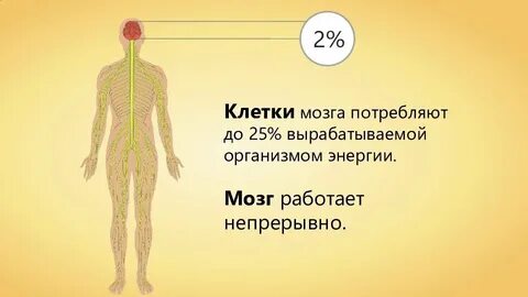 Люди 20 энергии