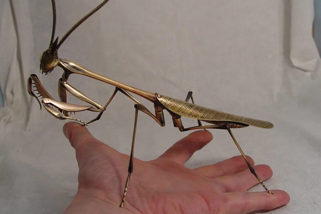 Богомол обыкновенный насекомые. Инсектоиды раса богомолы. Богомол обыкновенный референс. Богомол обыкновенный. Мантис богомол.