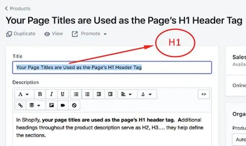 Head h1
