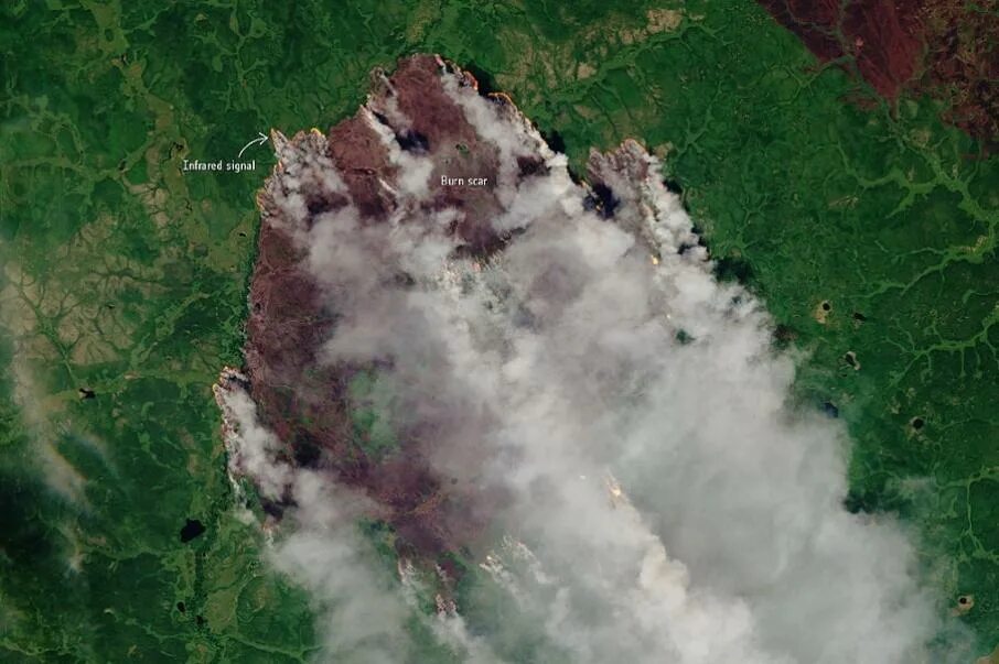 Якутия тайга пожары. Лесные пожары в сибири 2021. Якутия 2021. Пожары в якутии 2021. Якутия 2021.