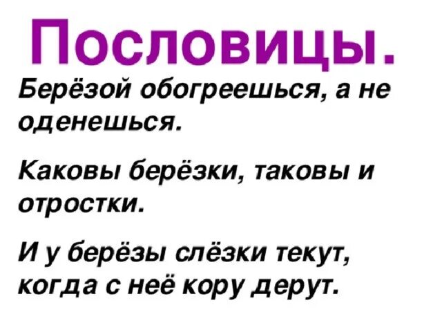 Пословицы о Березе. Пословицы о Березе для детей. Поговорки о Березе. Пословицы и поговорки о Березе.