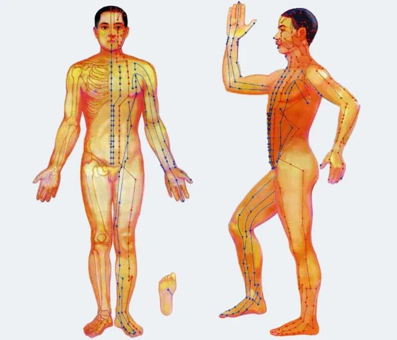 Меридианы человека китайская. Акупунктурные точки и меридианы на теле человека. Энергетические меридианы человека китайская медицина. Меридианы ТКМ. 12 Меридианов в китайской медицине.