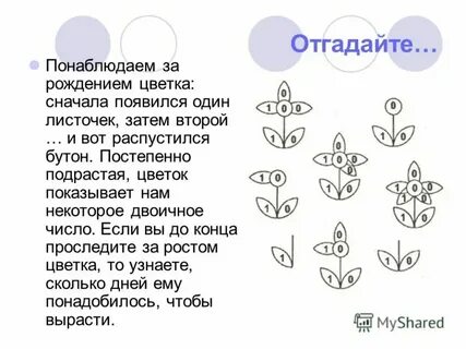 Этот цветок был когда то