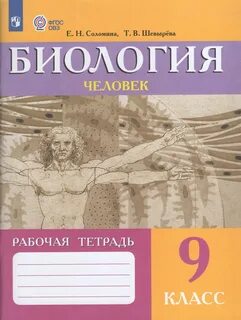 Соломина т
