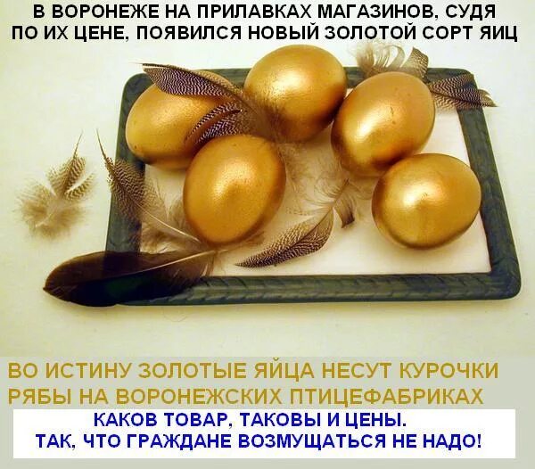 Треснутые дикси золотое яйцо. Яйцо золото. Курочка несущая золотые яйца. Золотые яйцы. Золотое яйцо фото.