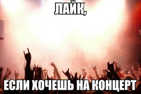 Хочу на их концерт