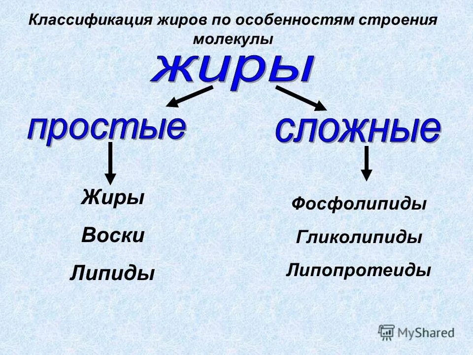 Функции жиров особенности строения. Классификация жиров по химическому строению. классификация сложных жиров. жиры классификация функции. жиры классификация схема.