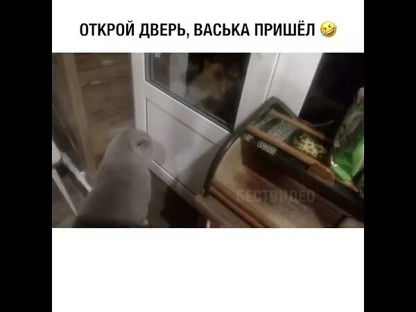 Кот говорит открой. Вася ложкин картины. Вася дверь. Вася ложкин родина и заграница. Вася дверь.