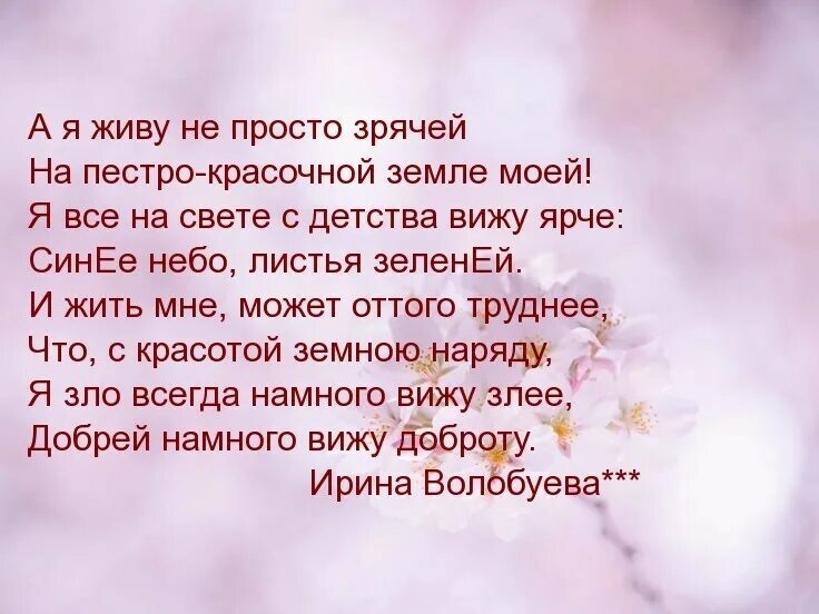 Стихотворение я видел пьяниц с мудрыми. Стих я видел пьяниц с мудрыми глазами. Есенин я видел пьяниц с мудрыми глазами. Есенин стихи я видел пьяниц с мудрыми глазами. Стихи я видел пьяниц