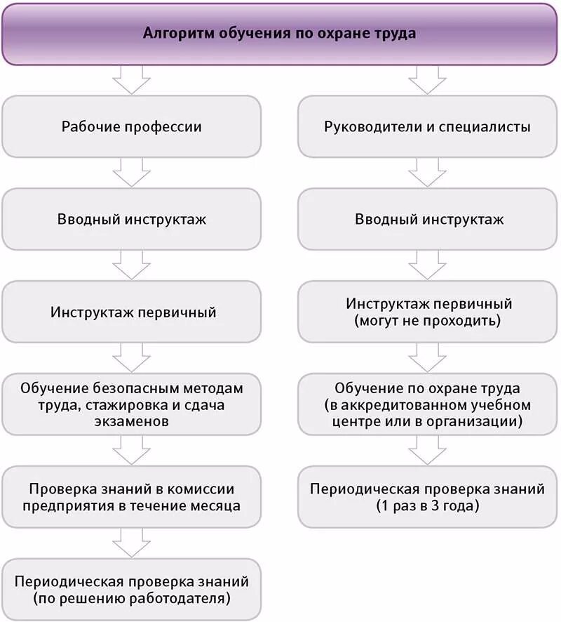 Алгоритм трудовых действий. Схема обучения работников по охране труда. Алгоритм обучения по охране труда схема. Алгоритм работы специалиста по охране труда с нуля. Схема обучения по охране труда на предприятии.