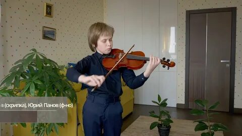 Скрипка сочи