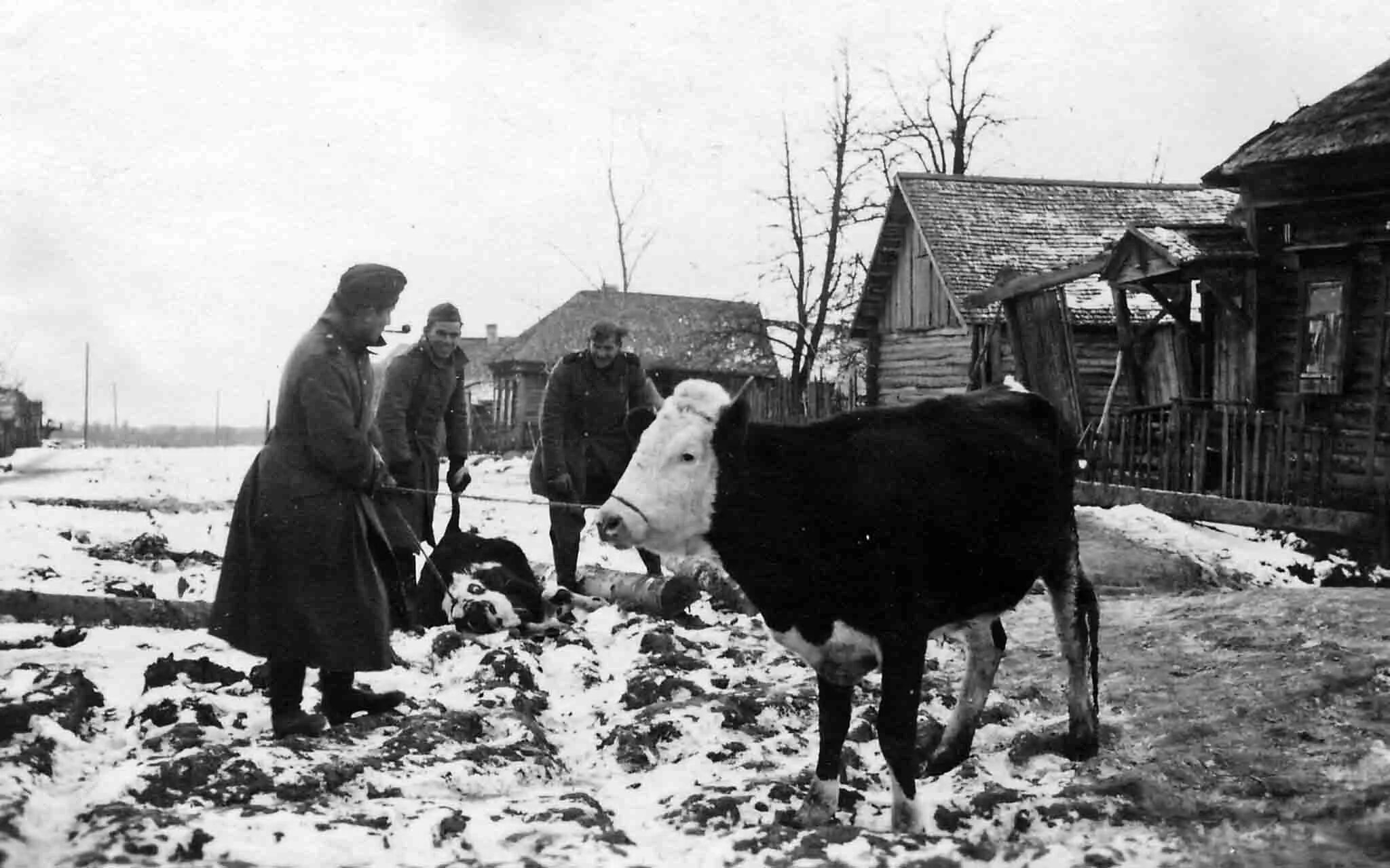 Мирные жители в оккупированной немцами деревне. Военный архив. Деревня в годы войны 1941-1945. Оккупированные села в ВОВ 1941-1945. Фашистская деревня