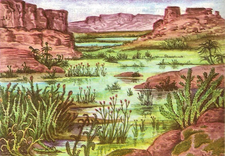 Силурийский период псилофиты. Палеозойская эра псилофиты. Первые наземные растения псилофиты эра. Периоды палеозойской эры триасовый. Палеозойская эра псилофиты.