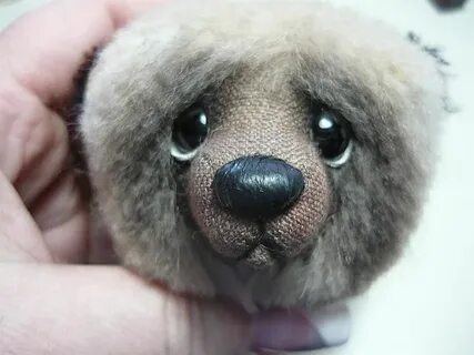 Teddy eyes