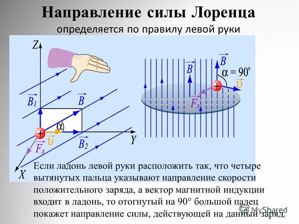 Правило левой руки физика 8 класс