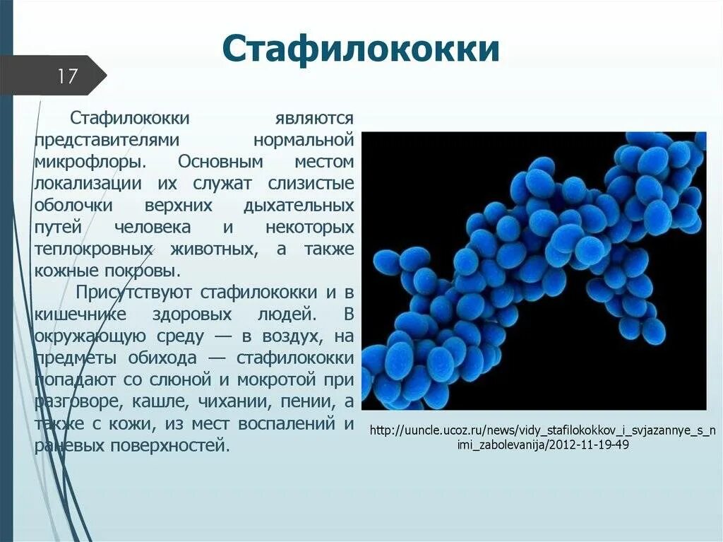 Стрептококк от чего появляется