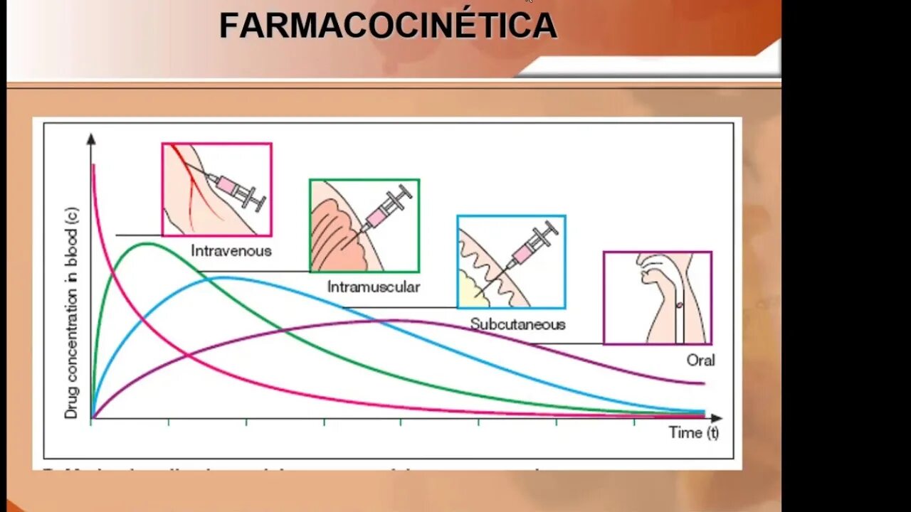 Биодоступность препаратов при различных путях введения. Биодоступность разных форм препарата. Фармакокинетическая кривая. Кривая биодоступности.