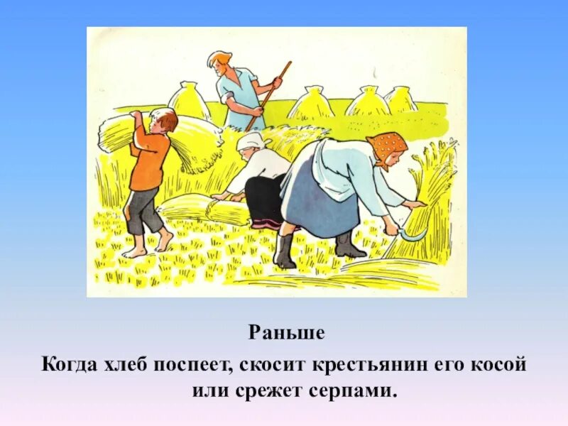 Сеющий колющий. Хлеб раньше. Без труда хлеб не родится никогда. Крестьянский труд рисунок. Труд крестьян рисунок.