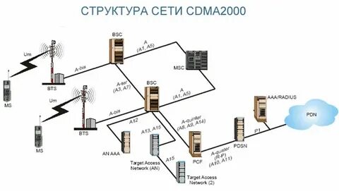 Сети 2000