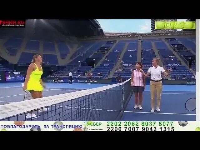 Wta 500 logo. Вта 500 берлин 2024. Вта 500 берлин 2024. Wta 500 logo. Wta тур 2022.