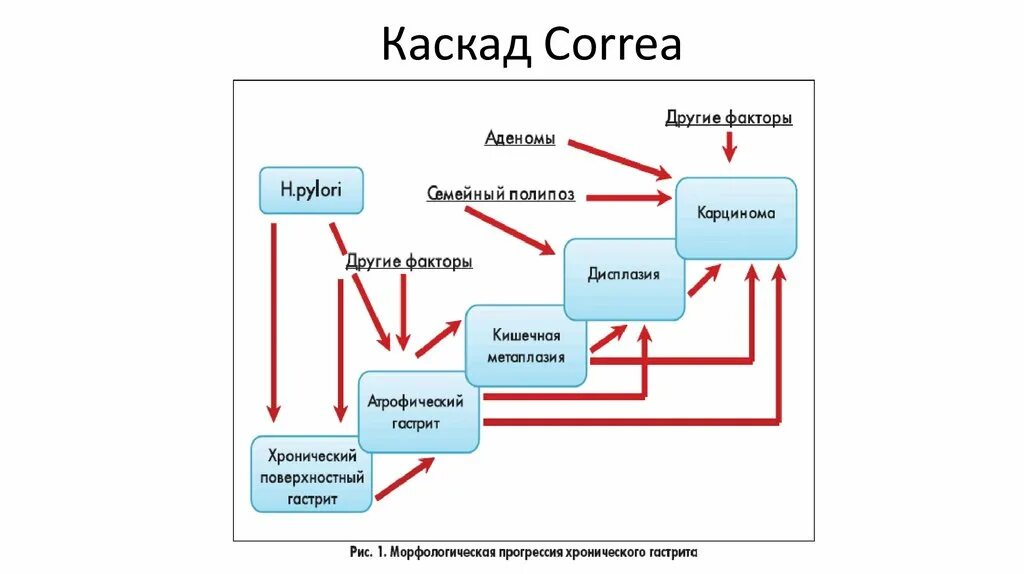 Каскад кпэ. Hibernate. Truncate cascade hibernate. Аэроразведка каскад. Manytomany связь.