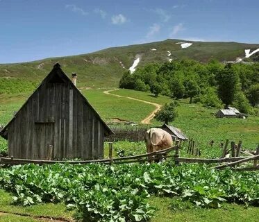 Экопоселения