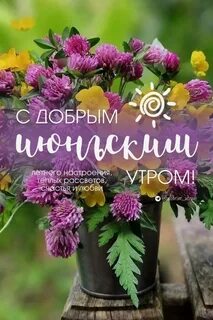 Самое доброе утро 2024 картинки