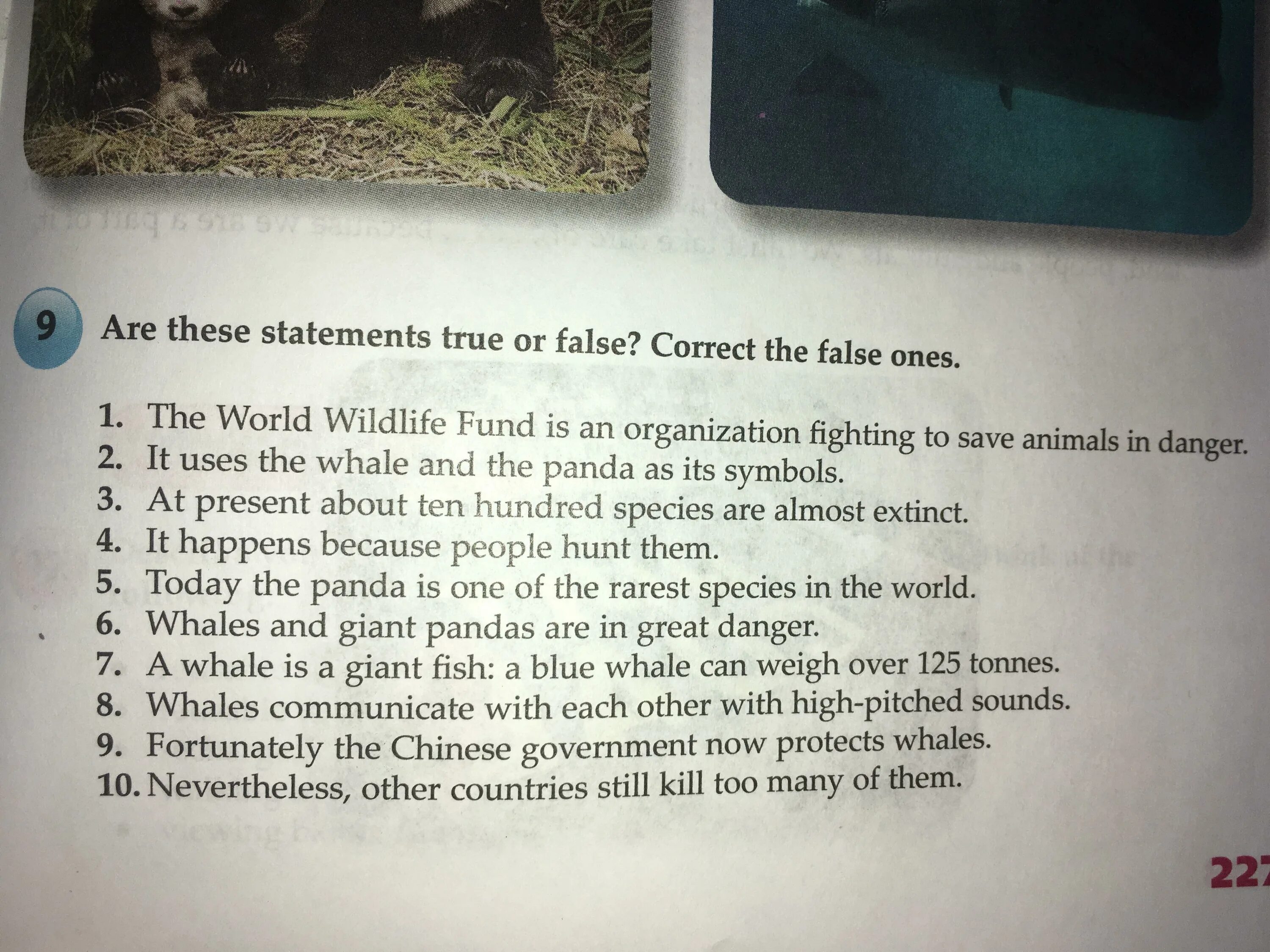 The world wildlife fund is an organization. Are these Statements true or false correct the false ones ответы. The World Wildlife Fund is an Organization Fighting. Are these Statements true of false correct the false ones задания.