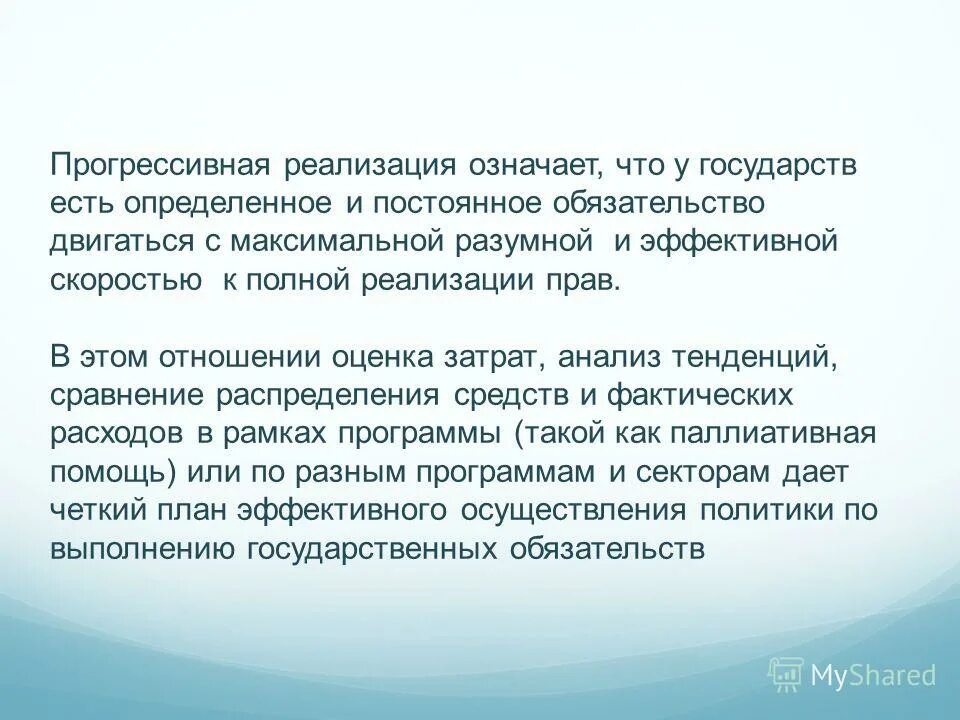 реализация проекта. протокол работы. продающее описание. что значит реализовывать. механизм реализации проекта.