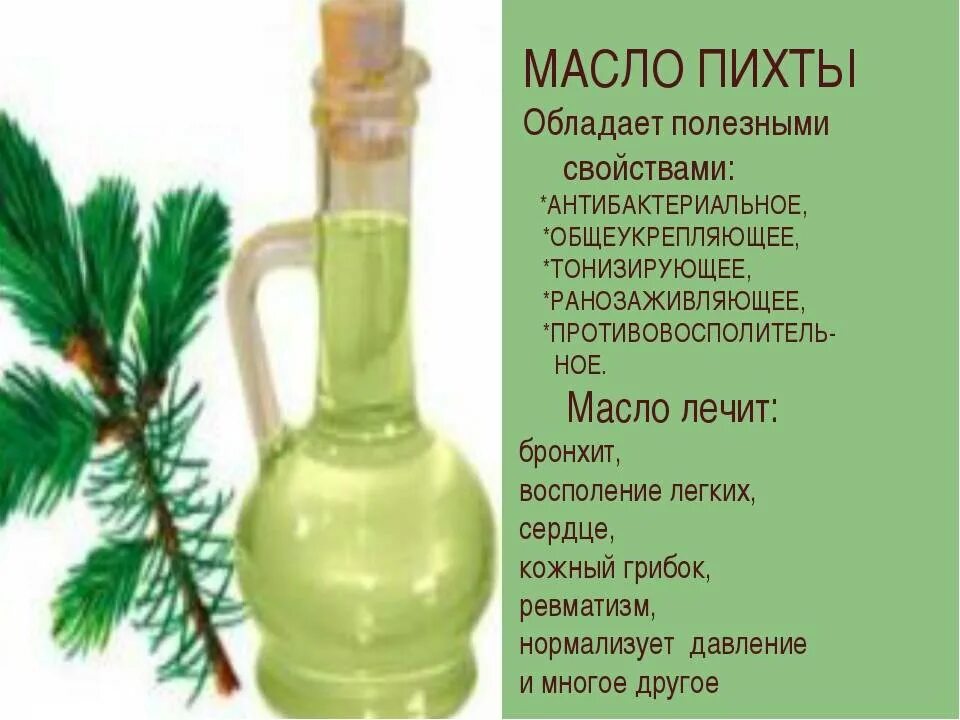 Масло пихты для чего. Масло пихты. пихтовое масло фото. лекарства из пихты. масло эфирное пихтовое этикетка.