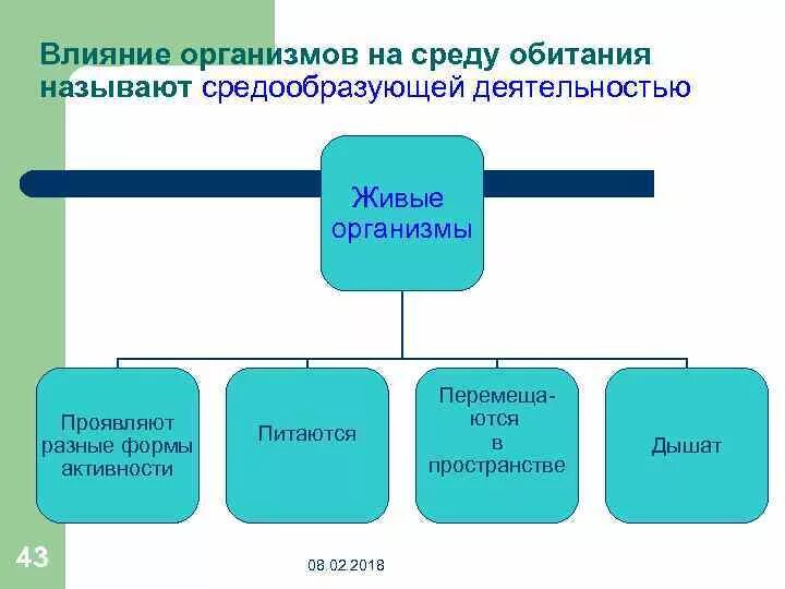 Как воздействуют на живые организмы. Средообразующая деятельность живых организмов. Влияние живых организмов на среду. Воздействие живых организмов на среду обитания. Пути воздействия организмов на среду обитания.