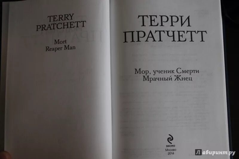 Пратчетт мрачный жнец. Терри Пратчетт мор ученик смерти. Терри Пратчетт плоский мир мрачный Жнец. Мрачный Жнец Терри Пратчетт книга. Мор ученик смерти книга.