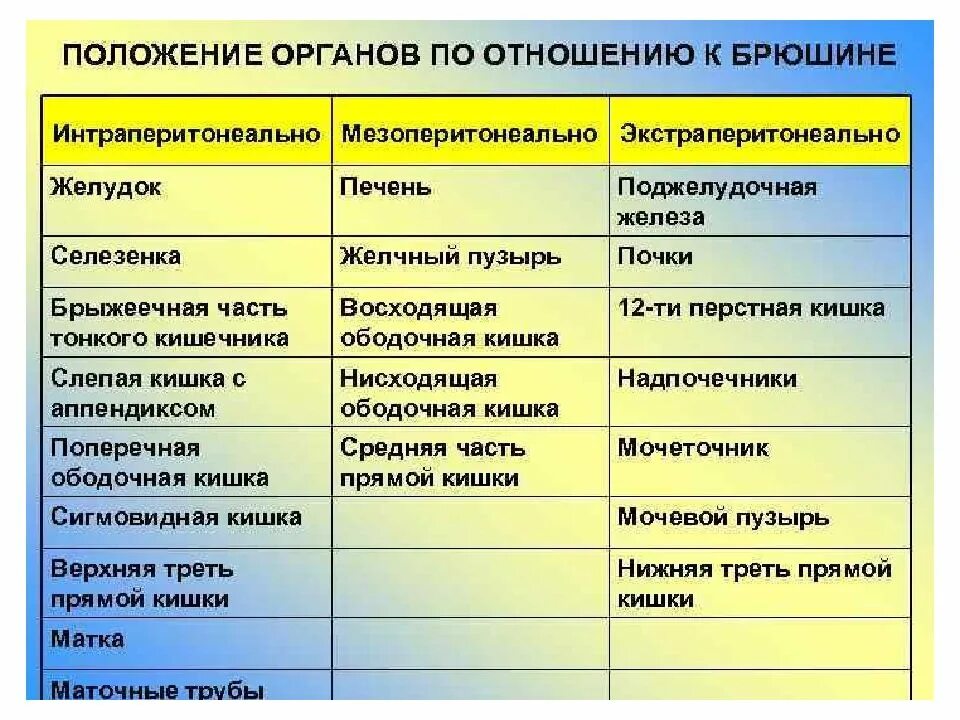 Покрытие органов брюшиной: найдено 73 картинок