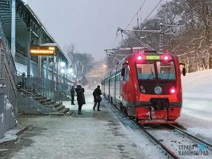 Погода на декабрь в калининграде 2023 года