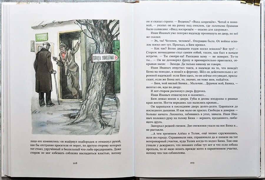 Читать книгу белый бим черное. Белый бим черное ухо иллюстрации из книги. иллюстрации из книжки белый бим черное ухо. белый бим черное ухо сколько страниц. белый бим из книги.