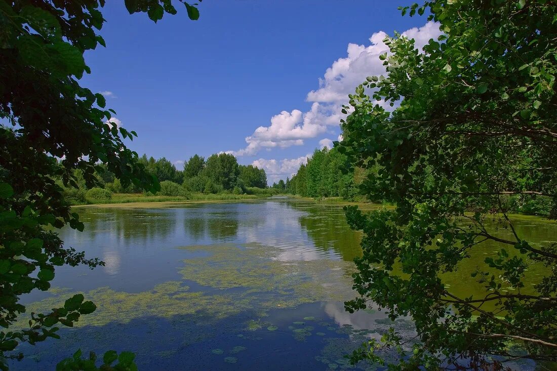 Горный пейзаж. Егобыжа река. Плесцы озеро архангельская область. Озеро на н. Озеро буша.