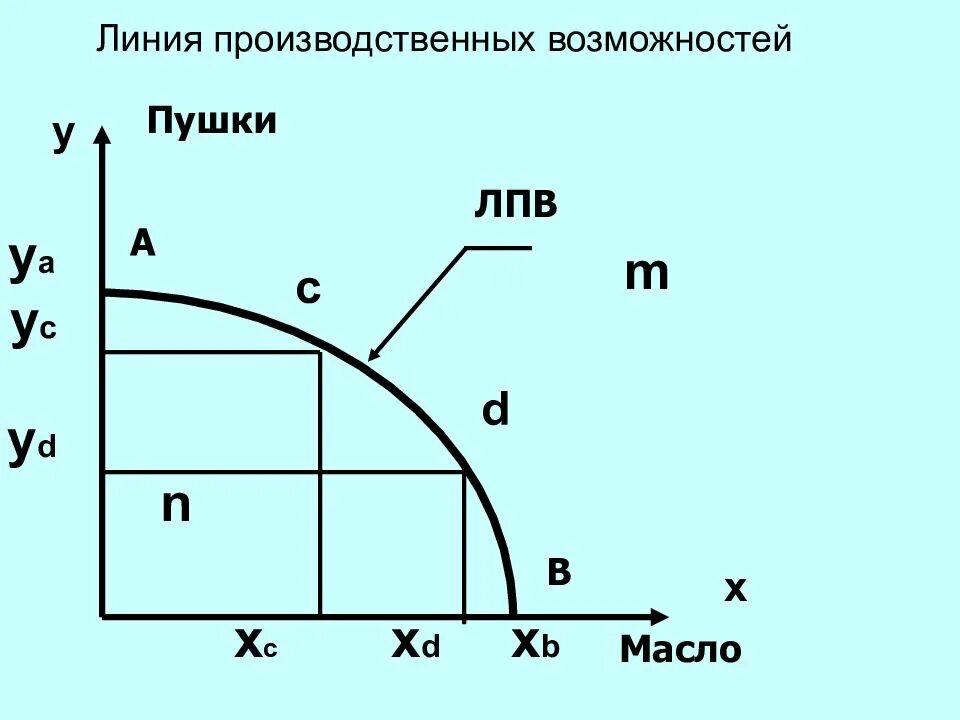 Лпв это