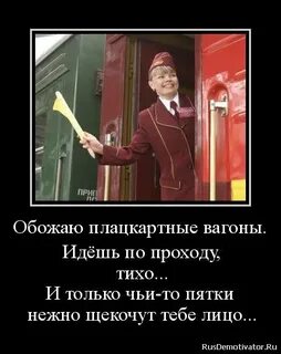 Про кота и проводницу