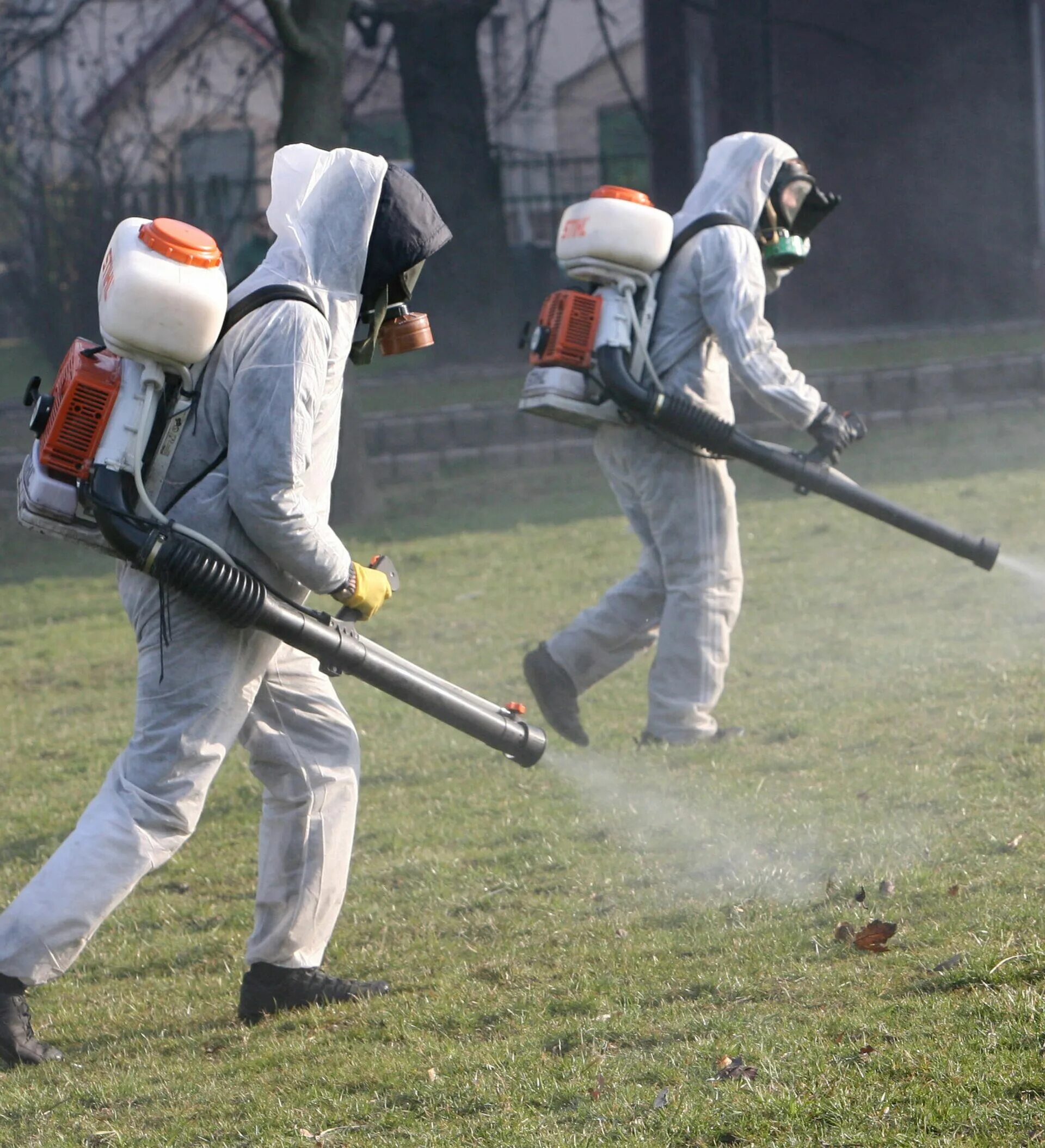 Объявление о обработке участка от клещей. Акарицидная обработка территории от клещей. Окпд 2 акарицидная обработка. Противоклещевая обработка объявление. Коммерческое предложение на акарицидную обработку.