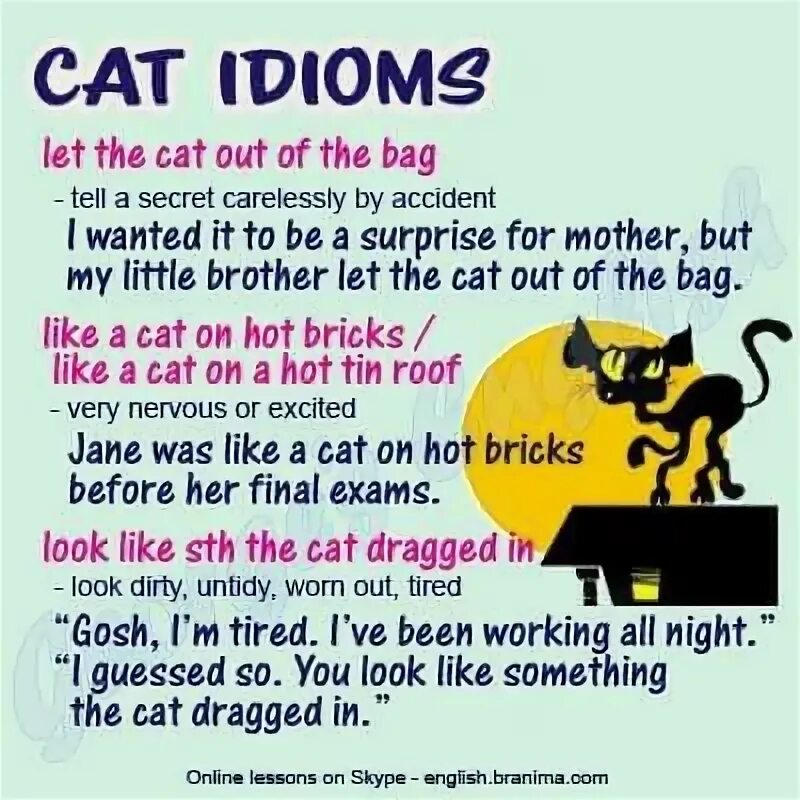 Idioms with roof. Cat idioms. Idioms with Cat. Cat idioms с переводом и значением. Cat idioms in English.