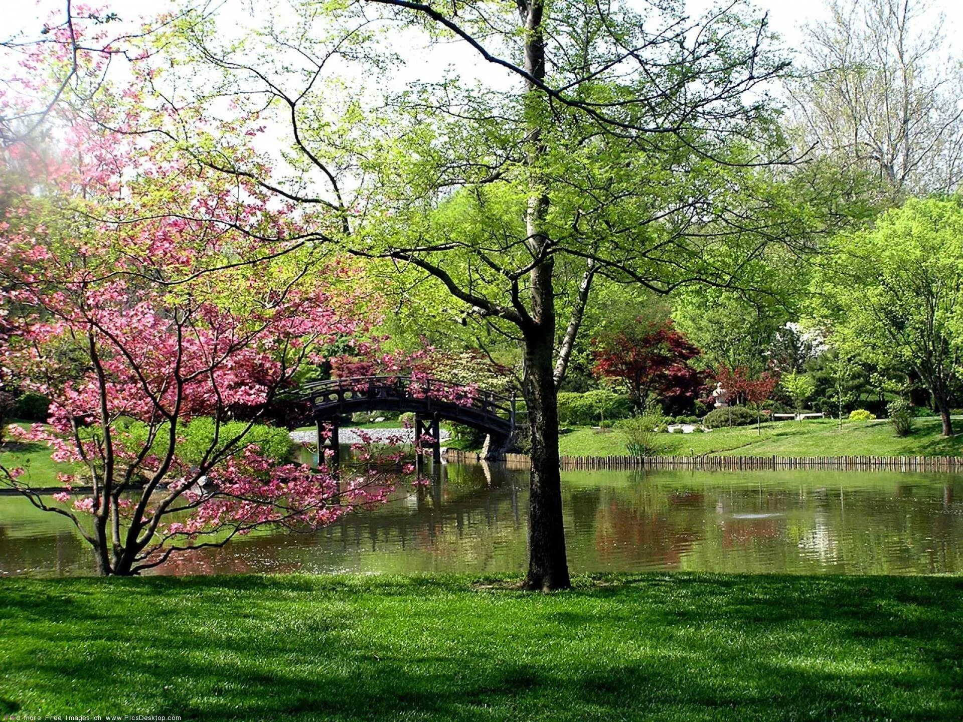 Springtime