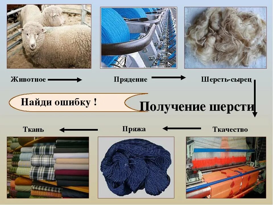 Шерсть значение
