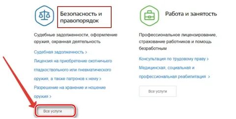 Госуслуги получить стрелку