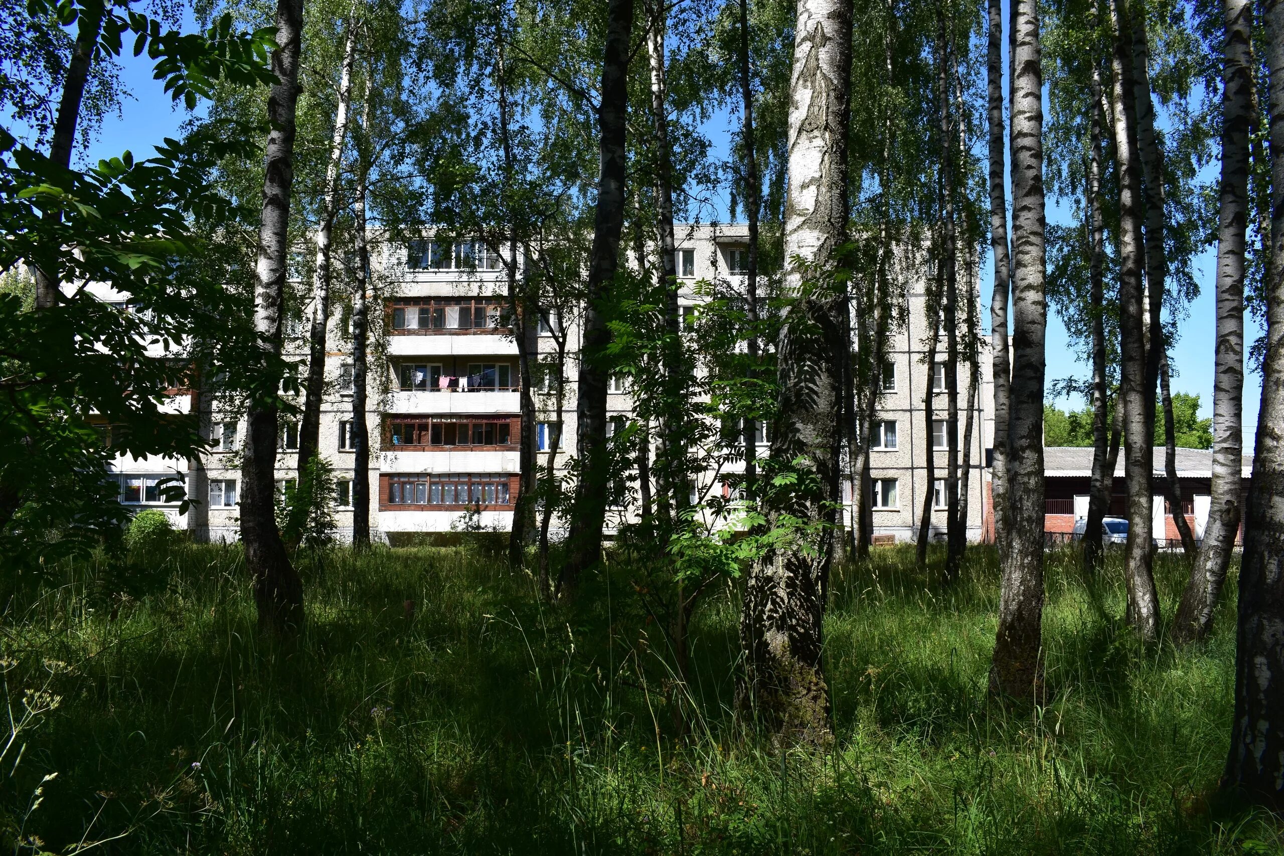 Посёлок Лесной Владимирская область. Лесной улица школьная