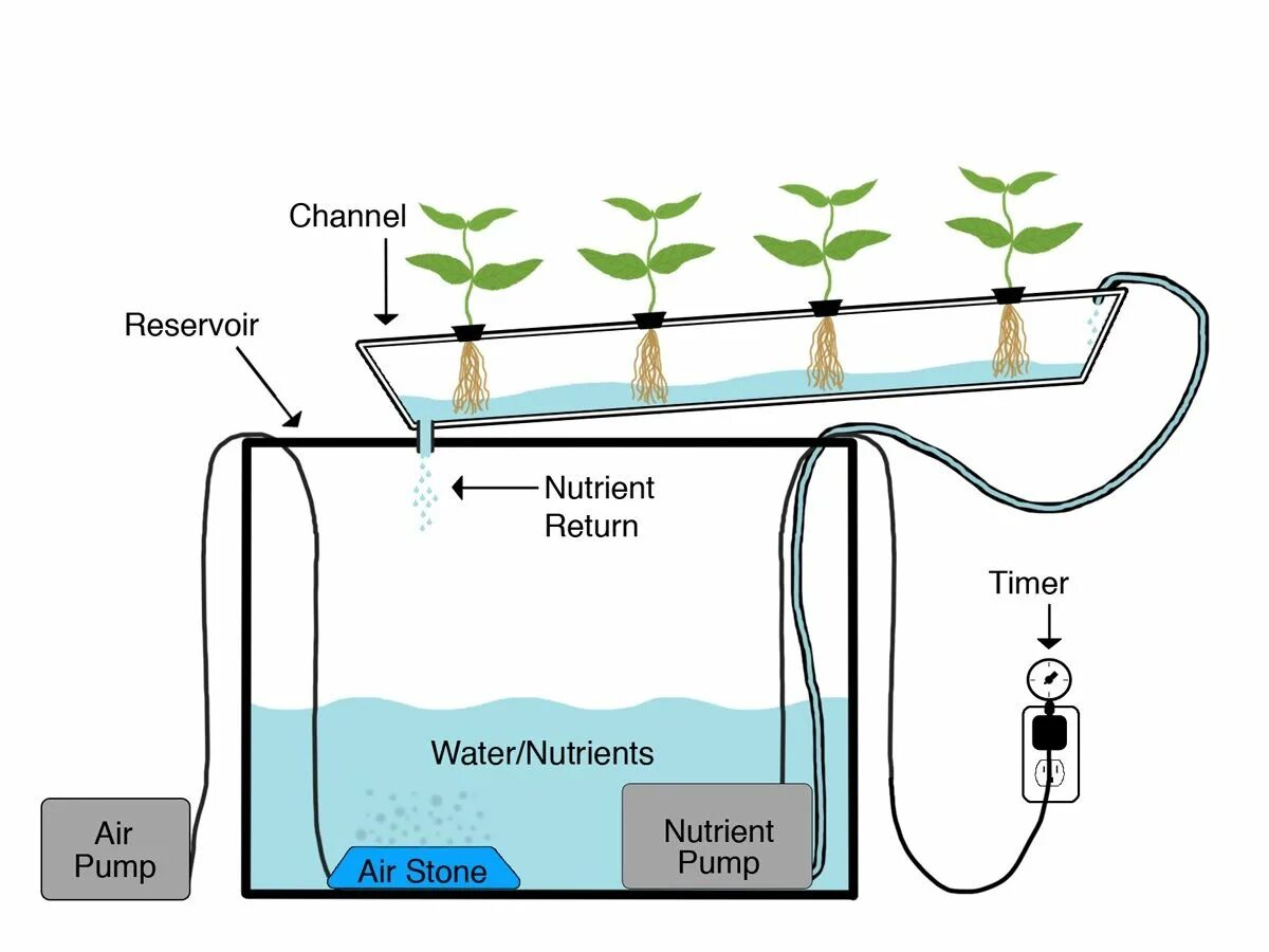 Гидропонная система схема. Ультразвуковая аэропоника схемы. Система NFT гидропоника схема. Система питательного слоя гидропонная. Nft как работает
