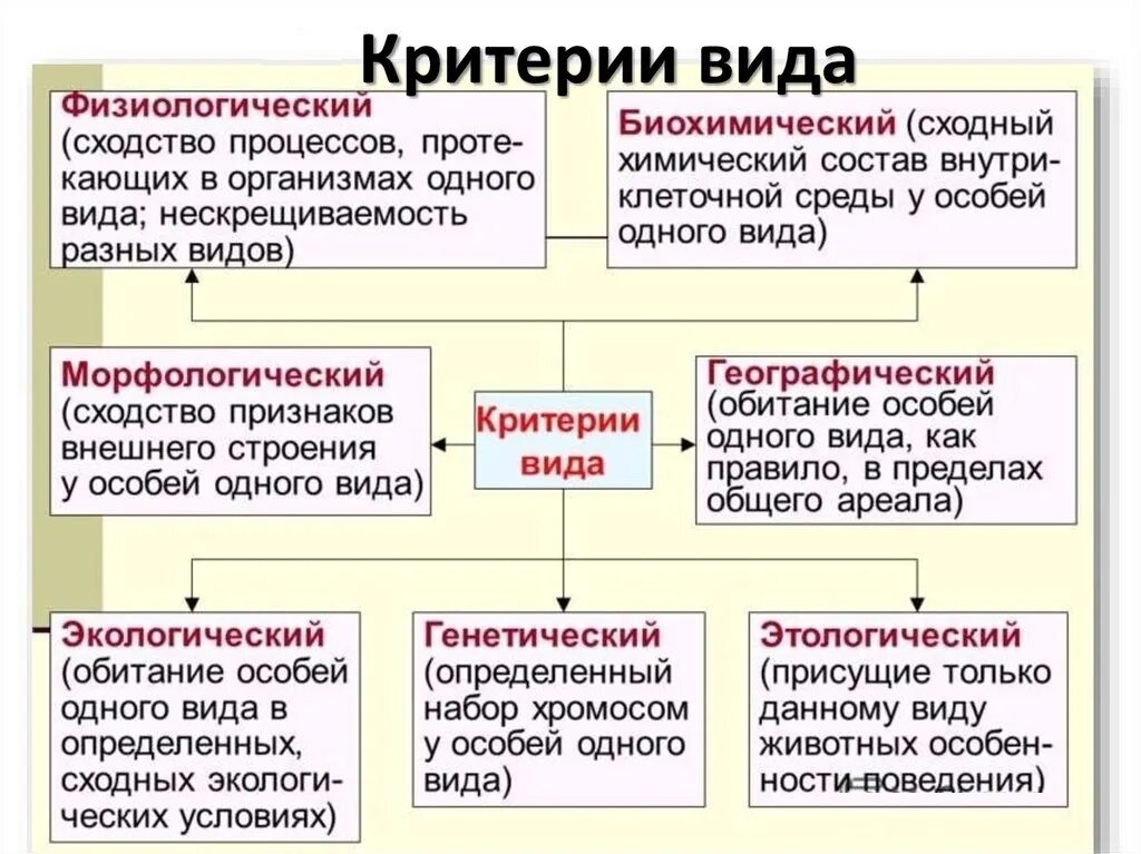 Физиологические признаки особей. Вид и его критерии.