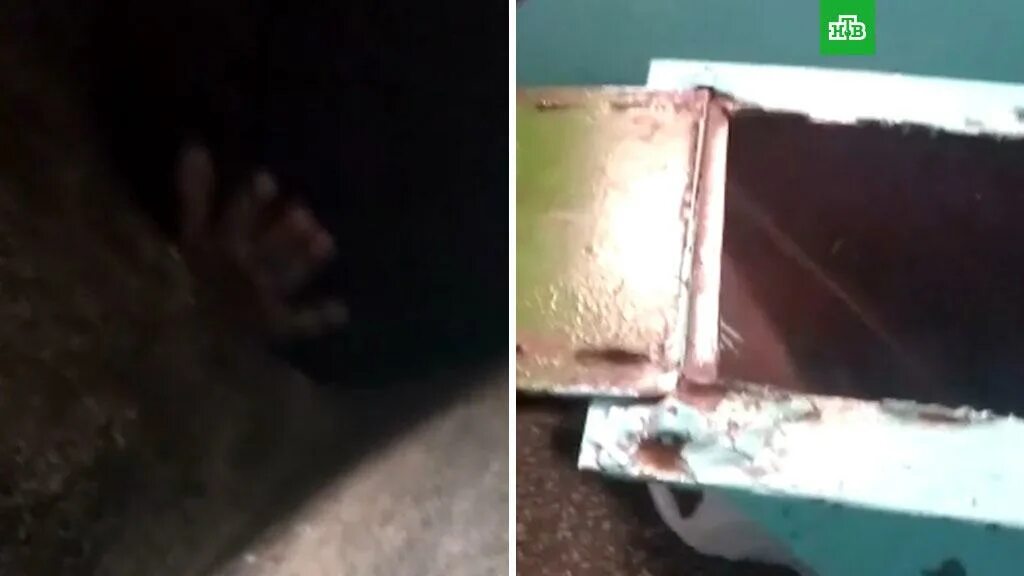 Парень застрял в диване. Мужик застрял в мусоропроводе.