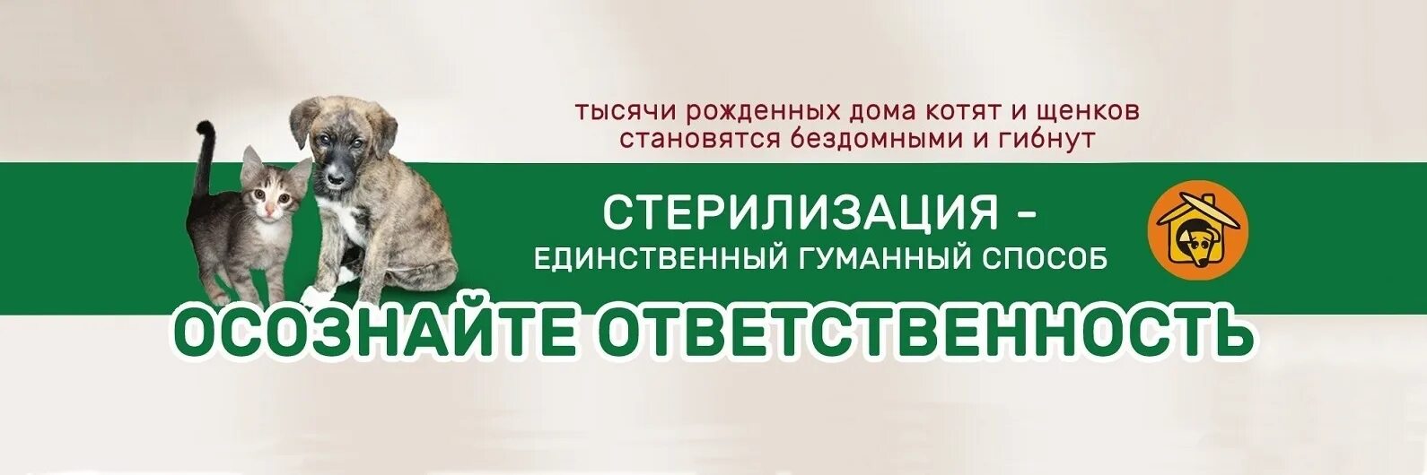 Помощь бездомным животным елец